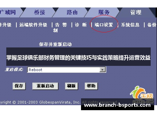 掌握足球俱乐部财务管理的关键技巧与实践策略提升运营效益 掌握足球俱乐部财务管理的关键技巧与实践策略提升运营效益
