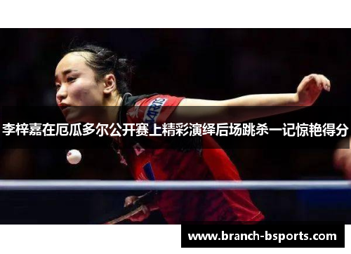 李梓嘉在厄瓜多尔公开赛上精彩演绎后场跳杀一记惊艳得分 李梓嘉在厄瓜多尔公开赛上精彩演绎后场跳杀一记惊艳得分