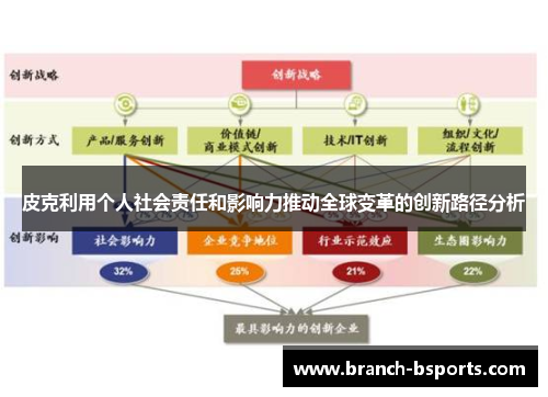 皮克利用个人社会责任和影响力推动全球变革的创新路径分析