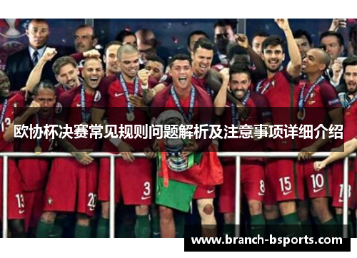 欧协杯决赛常见规则问题解析及注意事项详细介绍