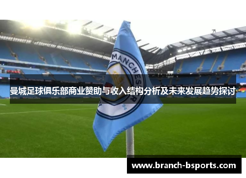 曼城足球俱乐部商业赞助与收入结构分析及未来发展趋势探讨