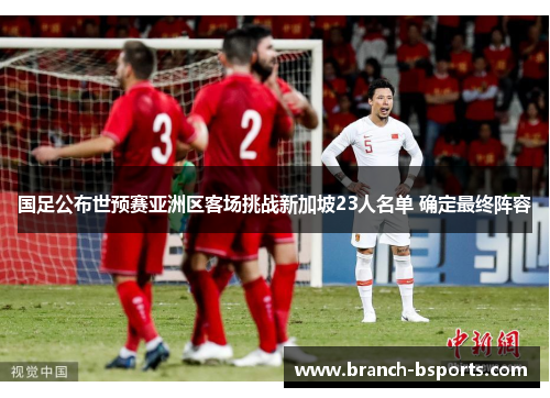 国足公布世预赛亚洲区客场挑战新加坡23人名单 确定最终阵容 国足公布世预赛亚洲区客场挑战新加坡23人名单 确定最终阵容