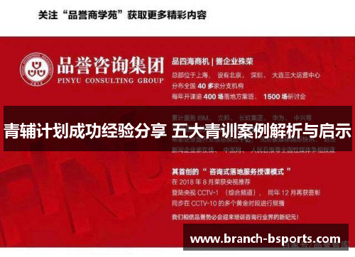青辅计划成功经验分享 五大青训案例解析与启示